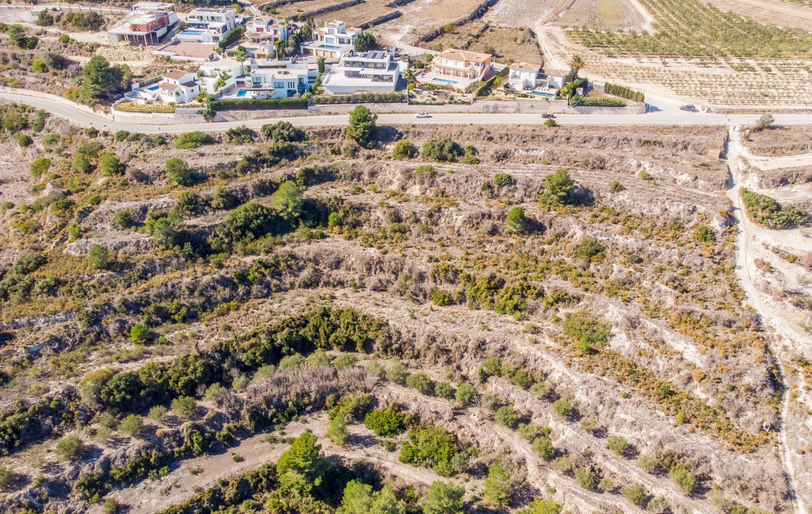 For Sale. Plot in Teulada